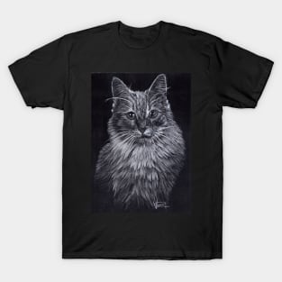 Turkish Angora Cat T-Shirt